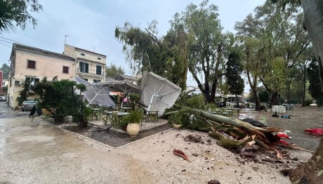 πτώση δέντρου στην Κέρκυρα
