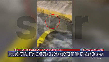 Blue Horizon: Νέο Bίντεο Nτοκουμέντo Με Τον 36χρονο Στο Νερό