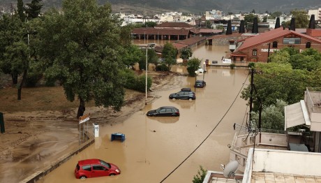 Πήλιο: Σώος Εντοπίστηκε Ο 85χρονος Αγνοούμενος