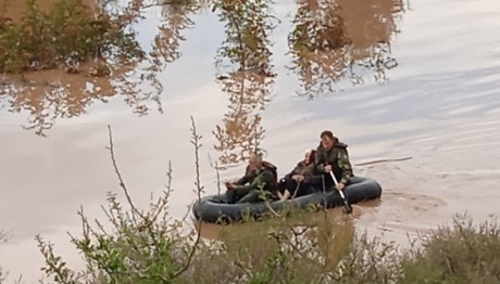 πλωτά Ενόπλων Δυνάμεων