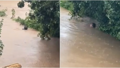 Σκιάθος: O δήμαρχος βούτηξε στα λασπόνερα να σώσει την αδελφή του