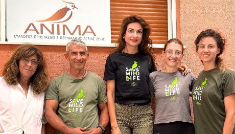 Ο Σαρακάκης στηρίζει έμπρακτα τα άγρια ζώα που επλήγησαν από τις φωτιές