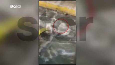 Blue Horizon: Οι Απολογίες Των Τριών Μελών Του Πληρώματος