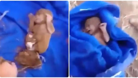 Σεισμός Μαρόκο Βίντεο: Βρήκαν Νεογέννητο Στα Χαλάσματα