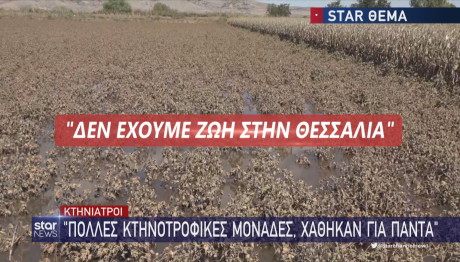 Θεσσαλία καταστροφή