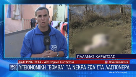 Κατερίνα Ρίστα το δράμα στα λασπόνερα