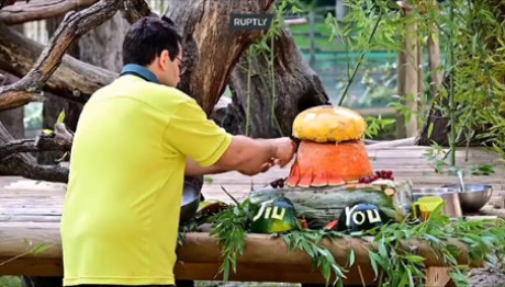 Ισπανία: Διπλά γενέθλια στο ζωολογικό κήπο