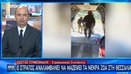 Ο Στρατός Στη Μάχη Αποκομιδής Νεκρών Ζώων