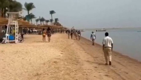 Επίθεση Καρχαρία Στην Αίγυπτο - Τουρίστρια Έχασε Το Χέρι Της