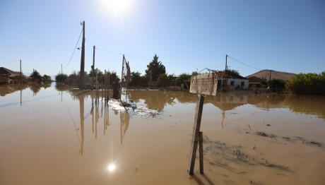 Αρτοποιός:  Ίσως και σήμερα το άνοιγμα της Εθνικής Αθηνών - Θεσσαλονίκης