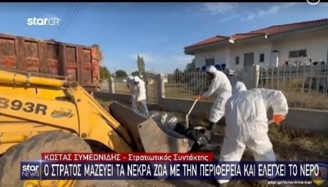 Θεσσαλία: Ο Στρατός συνεχίζει να βοηθάει