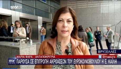 Παρούσα σε επιτροπή ακροάσεων του Ευρωκοινοβουλίου η Καϊλή