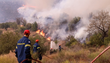 Tη δέσμευση όλων των περιουσιακών στοιχείων των εμπρηστών ζητά ο Βουρλιώτης