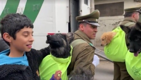 Κουτάβια λάμπουν στη στρατιωτική παρέλαση της Χιλής