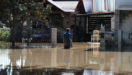 Λεπτοσπείρωση: Κρούσματα Στη Θεσσαλία - Τα Συμπτώματα