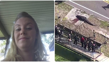 Φλόριντα: Αλιγάτορας Έσερνε Το Πτώμα Γυναίκας