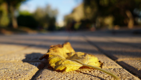 Φθινοπωρινός καιρός: Πέφτει η θερμοκρασία - Πού θα βρέξει