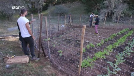 Φάρμα: Τα Προβλήματα Των Γαλάζιων Εμποδίζουν Την Αποστολή