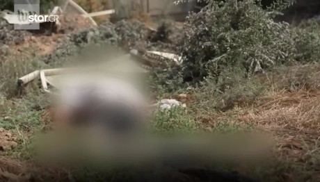 Ισραήλ: Παγώνουν Οι Θηριωδίες Στο Κφαρ Αζά - Είναι Σφαγή!