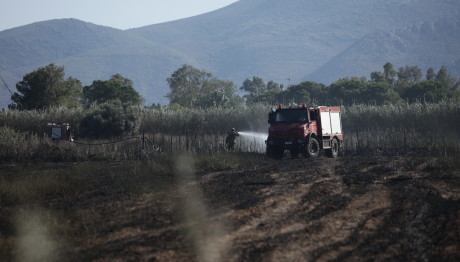 Υπό μερικό έλεγχο η φωτιά στον Μαραθώνα