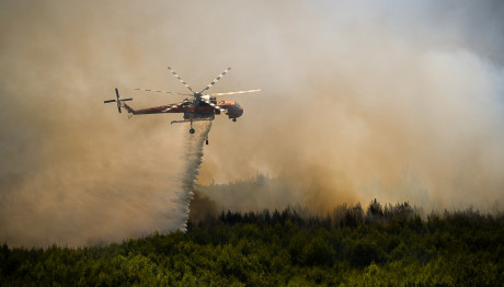 Φωτιά Τώρα Σε Δασική Έκταση Στη Δράμα