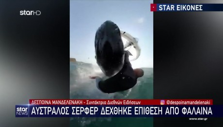 Φάλαινα Φυσητήρας Έπεσε Πάνω Σε Σέρφερ Στην Αυστραλία