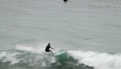 Επίθεση Καρχαρία Σε Σέρφερ - Ψάχνουν Απομεινάρια Του