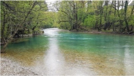 Eκδήλωση για την υποστήριξη αναδασώσεων