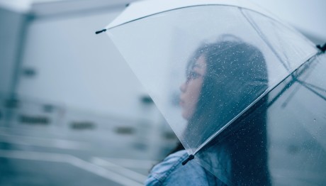 ΚΟΠΕΛΑ ΒΡΟΧΗ