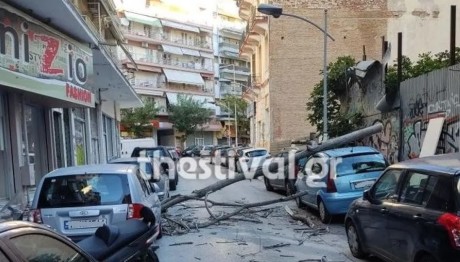 πτώση δέντρου στη Θεσσαλονίκη