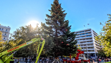 Σύνταγμα: Φωταγωγείται Σήμερα Το Χριστουγεννιάτικο Δέντρο