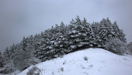 Καϊμακτσαλάν