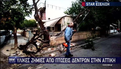 πτώση δέντρων