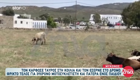 Αλήθειες με τη Ζήνα  39χρονος σκοτώθηκε από ταύρο