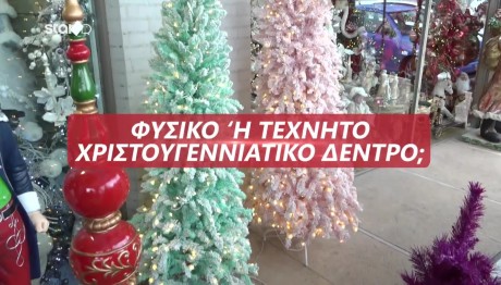 Χριστουγεννιάτικο Δέντρο: Φυσικό Ή Τεχνητό Έλατο;