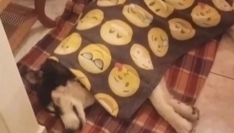 Αράχωβα: Ομερτά Για Τον Δράστη Της Κακοποίησης Του Όλιβερ