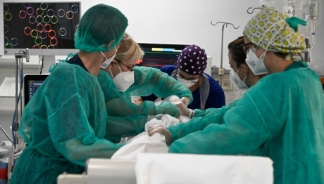 Κρήτη: Αγωνία Για 17χρονη - Έπαθε Ανακοπή Μετά Από Αλλεργία