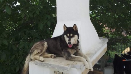 Αράχωβα: Είδα Τον Όλιβερ Με Άνδρα Σε Αποθήκη, Λέει Μάρτυρας