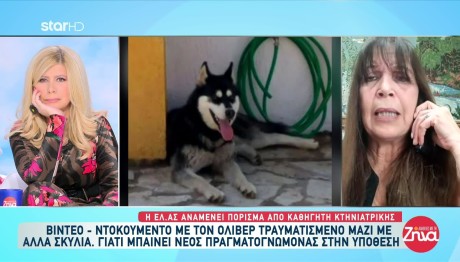 Αράχωβα: Κρανία Σκύλων Στην Αποθήκη Που Ήταν Ο Όλιβερ;