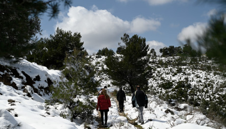 Καιρός: Ψυχρή Εισβολή Φέρνει Χιόνια Το Σαββατοκύριακο