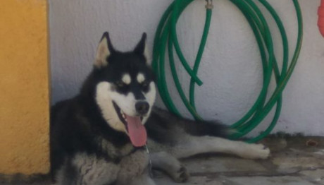 Αράχωβα: Ο Δράστης Δεν Είναι Στο Περιβάλλον Του Ιδιοκτήτη