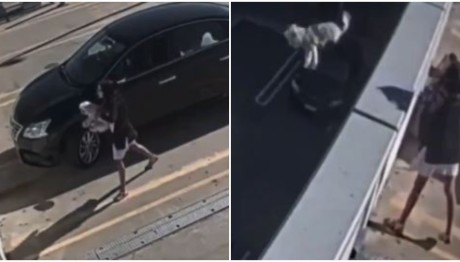 Φρίκη με 26χρονη που πέταξε το σκυλάκι της από ταράτσα - «Της έκανα χάρη»