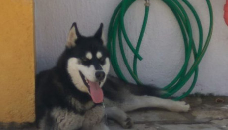 Αράχωβα: Ξέρουμε Ποιος Κακοποίησε Τον Όλιβερ, Θα Εκπλαγείτε