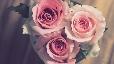 Εορτολόγιο