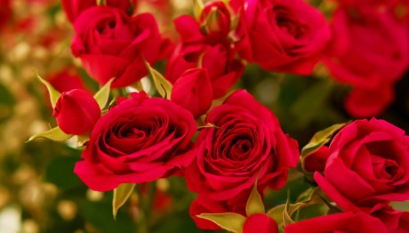 Εορτολόγιο