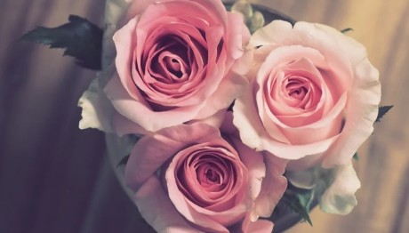 Εορτολόγιο