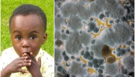 Βρετανία: Δραστικά μέτρα για τη μούχλα στα σπίτια μετά τον θάνατο αγοριού