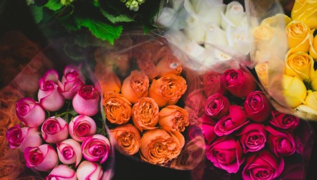 Εορτολόγιο