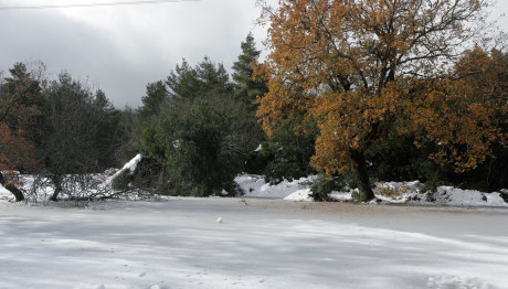 Καιρός: Χιόνια στην Πάρνηθα - Έκλεισε ο δρόμος μετά το τελεφερίκ