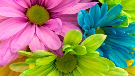 Εορτολόγιο